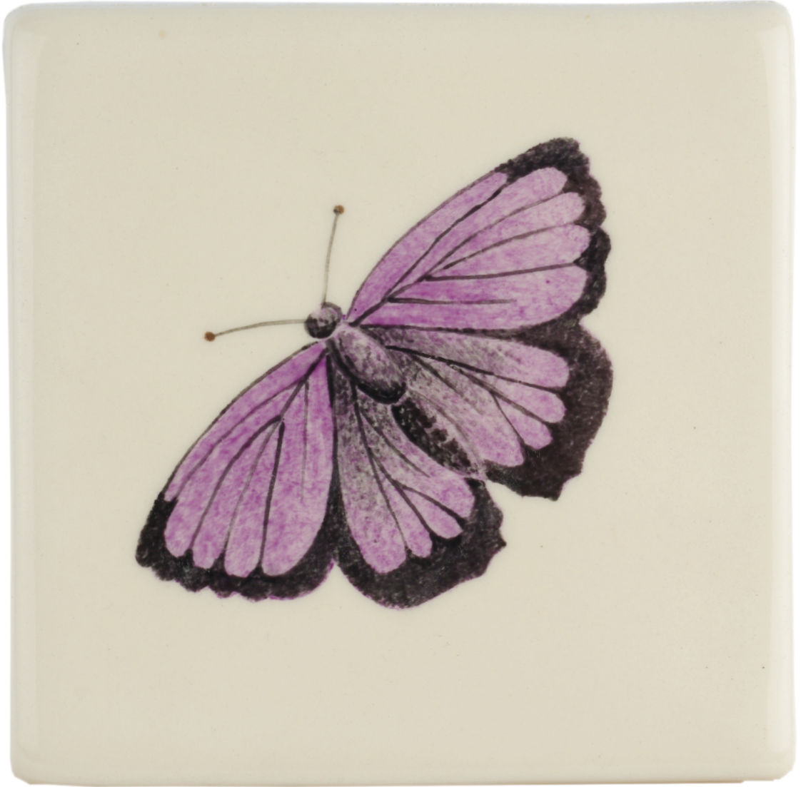 Hand Painted Tiles - Coloured Bugs & Insects