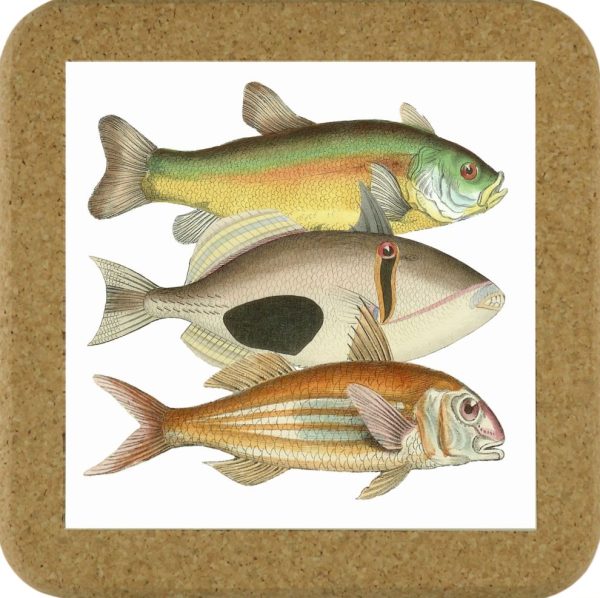 Fish Tile Mats - Fish #3