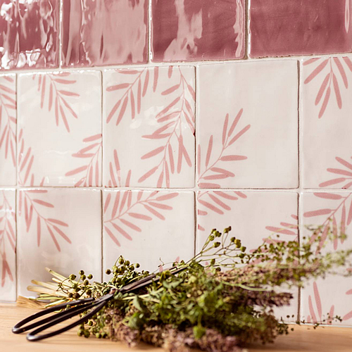 Botanique - Montagne Tayberry