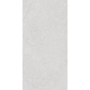 Munich-White-Pressed-Ceramic-25x50x7.2-mm-MNC1005