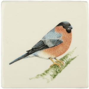 Hand painted Tiles - Bullfinch - Tiles of Stow
