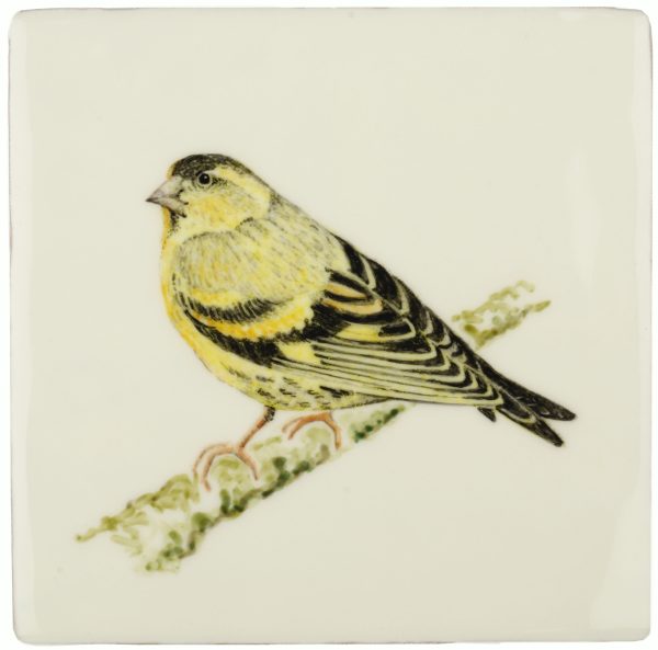 Hand painted Tiles - Siskin - Tiles of Stow