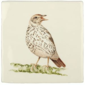 Hand painted Song Thrush tile individually painted by Tiles of Stow